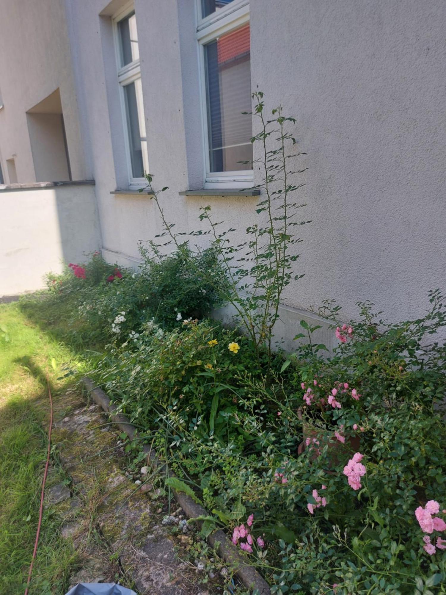 Ferienwohnung Am Bahnhof Bernburg Exterior photo